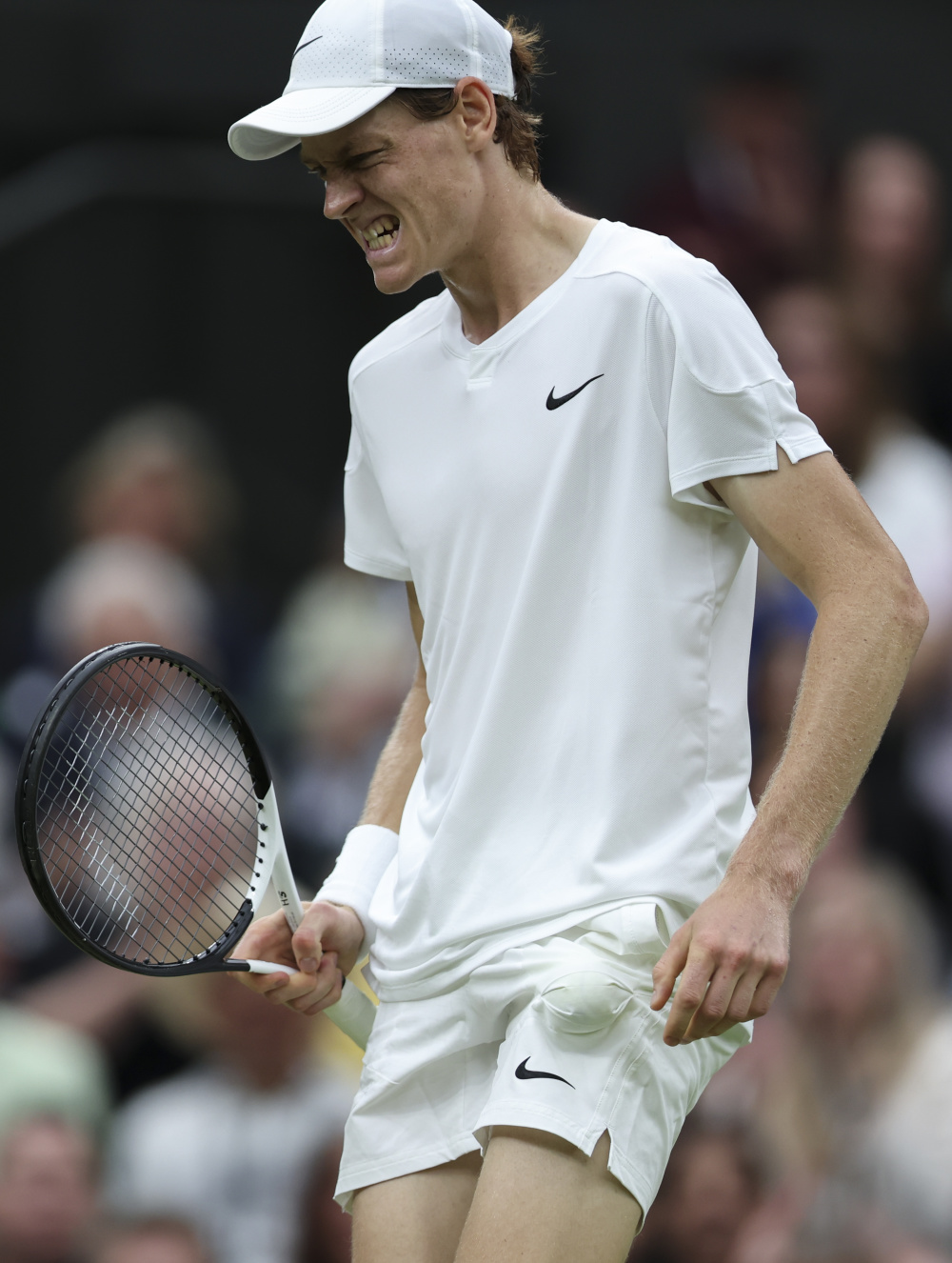 美网完胜温网，梅德韦杰夫刷新纪录