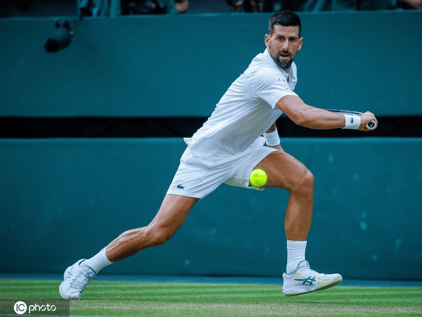 温网翻盘拉沃尔杯,德约科维奇关键制胜 温网翻盘拉沃尔杯,德约科维奇关键制胜